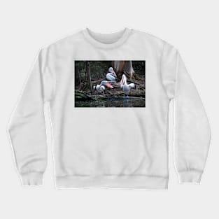 Pelican Chat Crewneck Sweatshirt